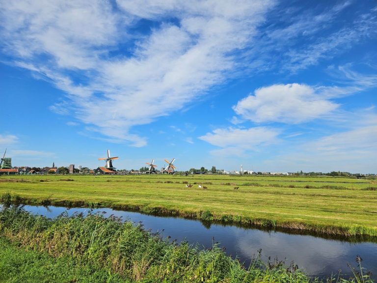 Het Kalf en de Waterwolf — museum-expo in de Zaanstreek