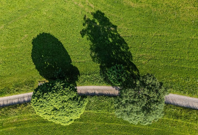 Hoe ziet Zaanstad eruit in 2100? — natuur in de Zaanstreek