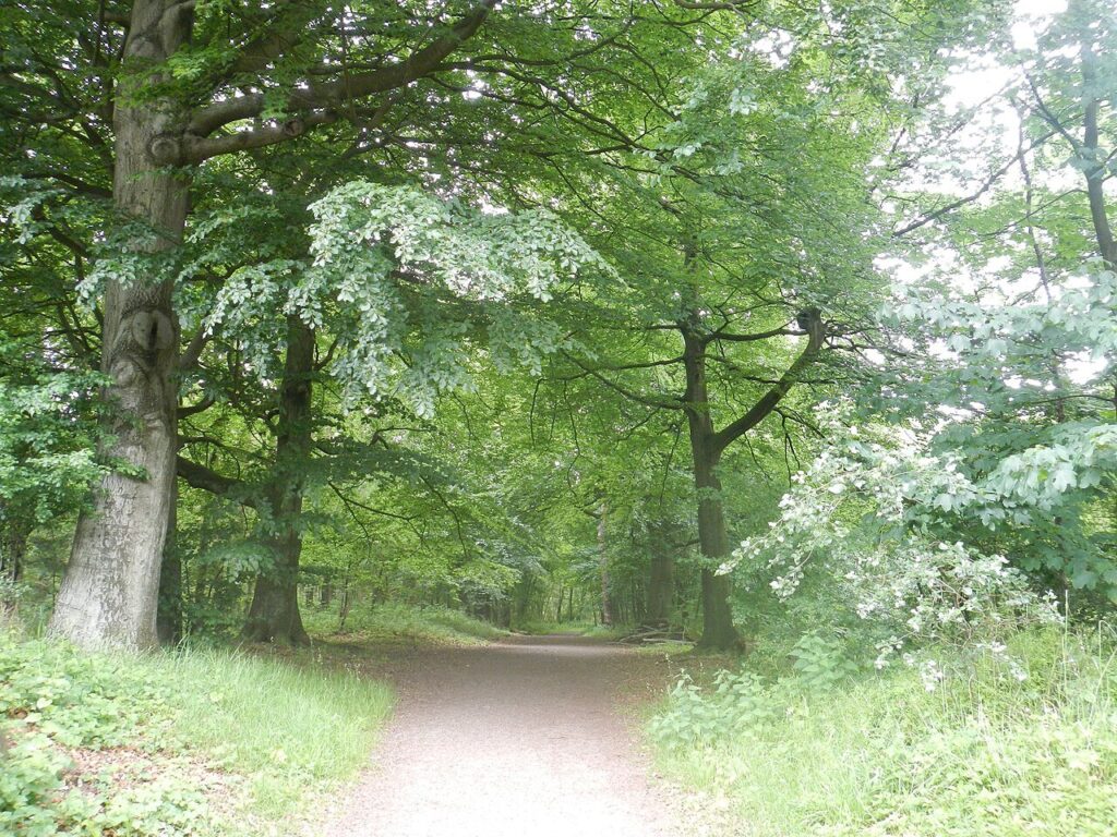 [Z]aan de Wandel in de Zaanstreek
