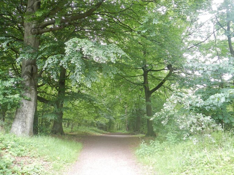 [Z]aan de Wandel — natuur in de Zaanstreek