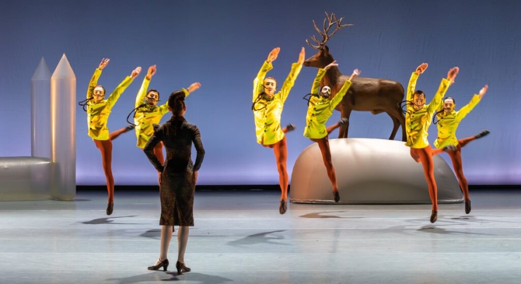 Swan Lake – Introdans in Zaandam