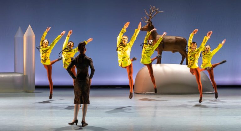 Swan Lake – Introdans — muziek in de Zaanstreek